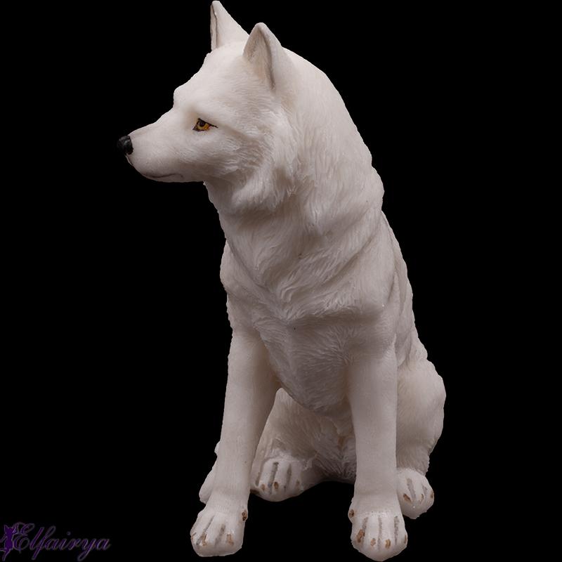 Junger sitzender Polarwolf Junger sitzender Polarwolf